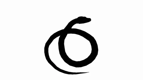 Snake &amp; jungle carpet python attack,sliding decorative sketch silhouette. Vidéo 38285839