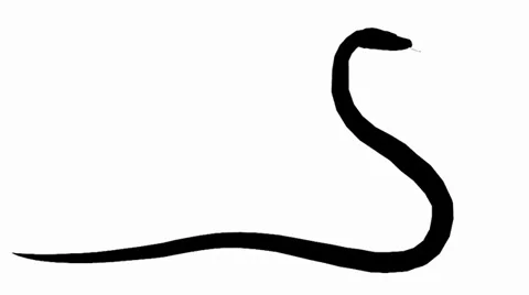 Snake &amp; jungle carpet python attack,wild animal sketch silhouette. Vidéo 38285730