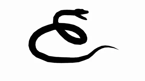 Snake &amp; jungle carpet python open mouth attack,sliding sketch silhouette. Stock Footage 38285296