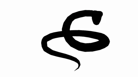 Snake &amp; jungle carpet python open mouth attack,sliding sketch silhouette. Stock Footage 38285580