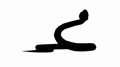 Snake &amp; jungle carpet python open mouth attack,sliding sketch silhouette. Stock Footage 38285680