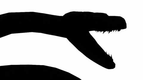 Snake &amp; jungle carpet python open mouth attack,sliding sketch silhouette. Vidéo 38285725