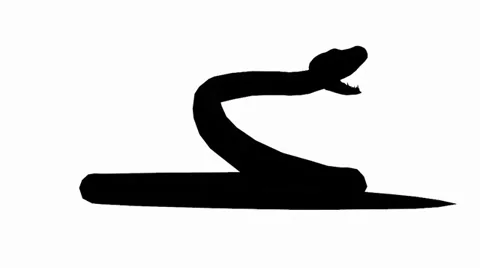 Snake &amp; jungle carpet python open mouth attack,sliding sketch silhouette. Vidéo 38285747