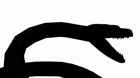 Snake &amp; jungle carpet python open mouth attack,sliding sketch silhouette. Vidéo 38286110