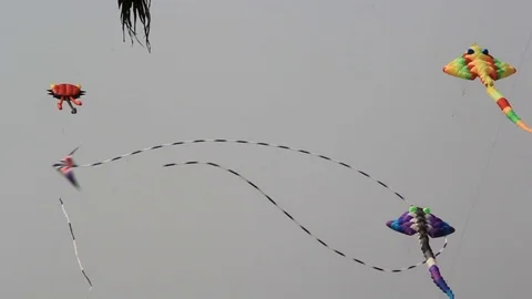 Snake Kite Demo Stockbeeldmateriaal 74413340