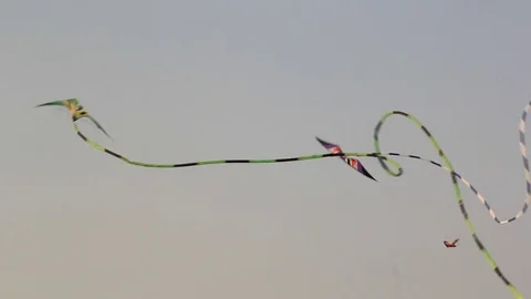 Snake Kite Flight display Stockbeeldmateriaal 74398655