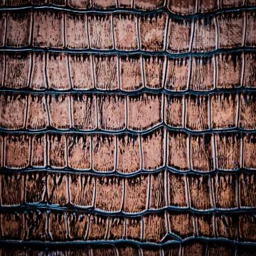 Snake leather Foto stock