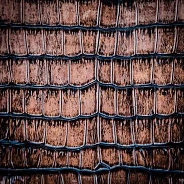 Snake leather 스톡 사진