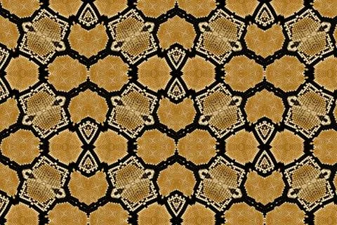 Snake leather. Stock Photos