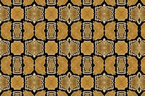 Snake leather. Stock Photos