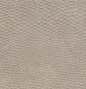 Snake leather skin imitation (python, boa) - inner surface Stock Photos