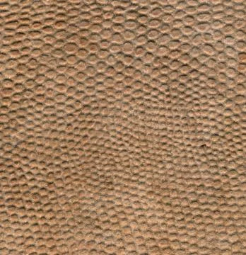 Snake leather skin imitation (python, boa) - inner surface Photos