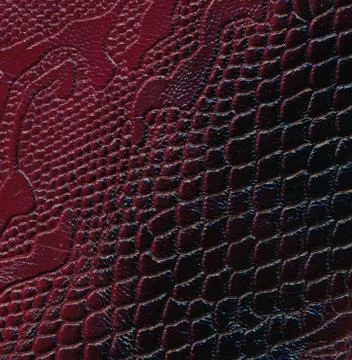 Snake leather skin imitation (python, boa) Stock Photos