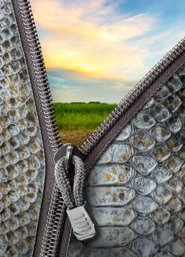 Snake leather with zipper Stock Photos