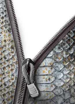 Snake leather with zipper Stock Photos