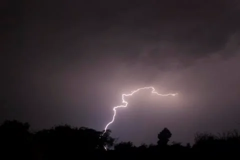 Snake Lightning Stock Photos
