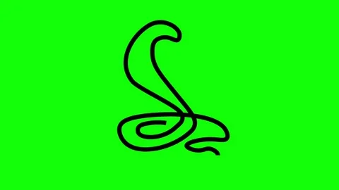 Snake line icon on green screen. 4K Stock Footage 245339949