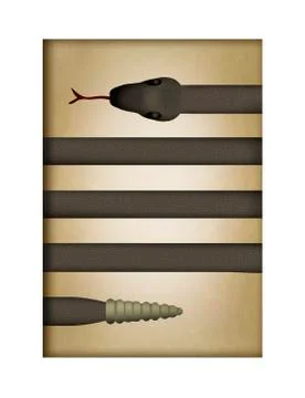 A snake looks like lines on a page in this interesting look at serpents. Illustrazione stock