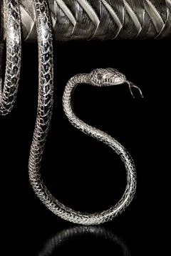 Snake made from silver on the dark background. Stock Photos