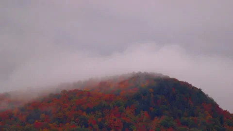 Snake Mountain Fall Fog Closeup Stock Footage 169666067
