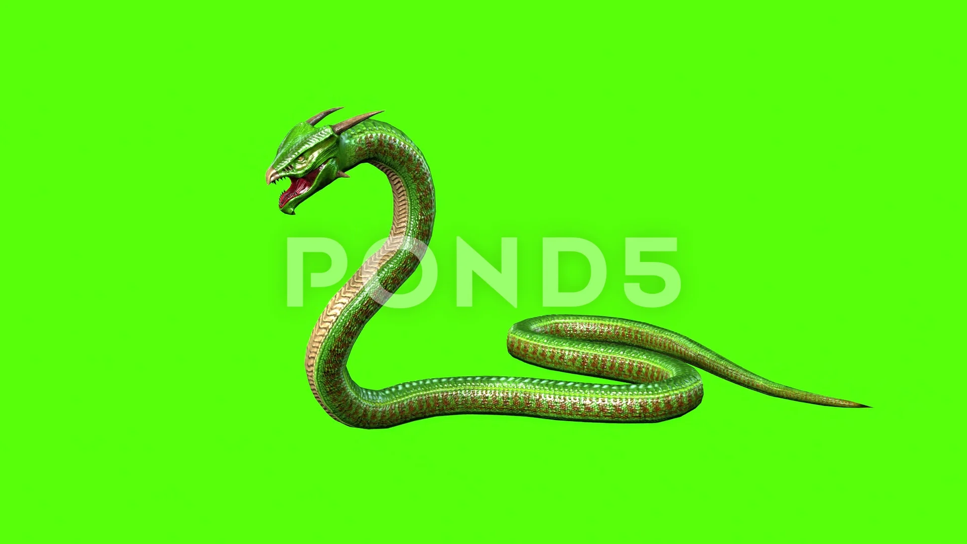 Snake Animation Stock Footage ~ Royalty Free Stock Videos | Pond5