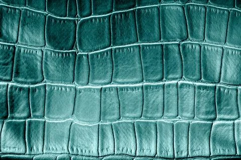 Snake or crocodile skin pattern imitation made of artificial faux leather. Re 스톡 사진