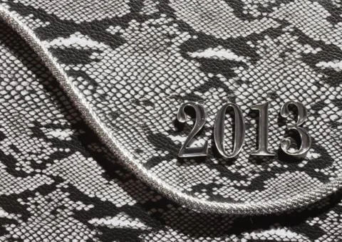 Snake-patterned of 2013 Stock Photos