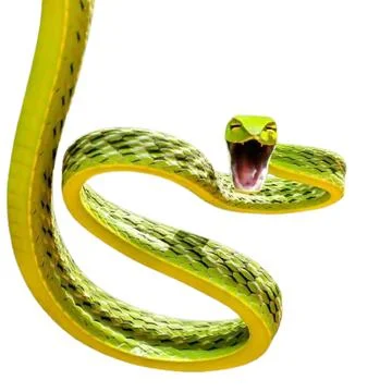 Snake Stock Photos