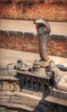 Snake pit. Stock Photos