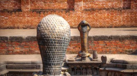 Snake pit. Stock Photos