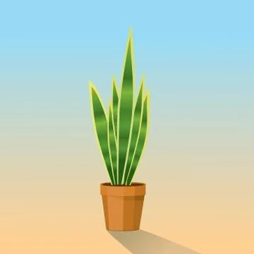 Snake plant イラスト素材