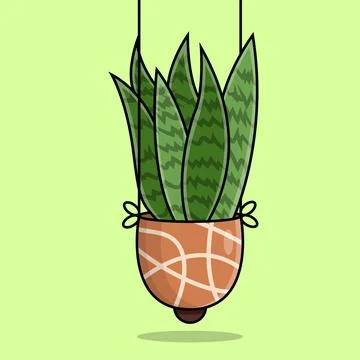 The Snake Plant Stock Illustration