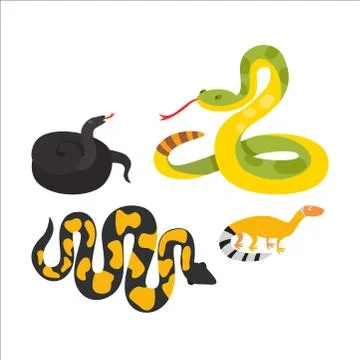 Snake reptile cartoon vector Stock Illustration