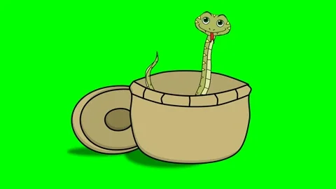 Snake reveals self from container or bowl, green screen Stock Footage 289213211