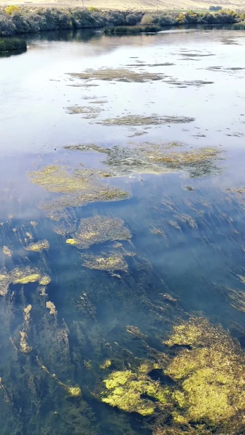 Snake River Muck Pads outside Hammett Idaho 9x16 Vidéo 338312196