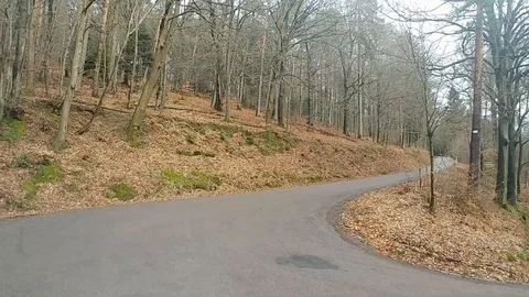 Snake road in the black forest - Winter Stock Footage 90031886