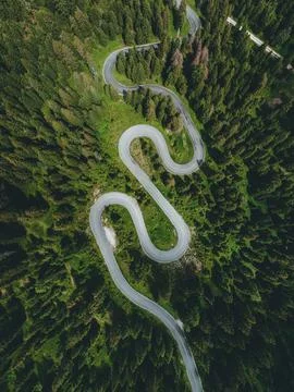Snake road in the forest Stock Photos