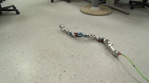Snake-like robot machine crawling on a floor Stock Footage 99052851