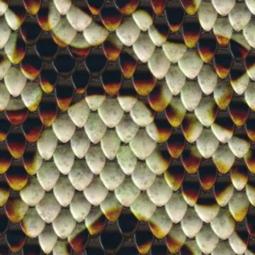 Snake scales background Stock Photos