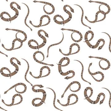 Snake seamless pattern on white background. Vector illustration. eps10 Stock Illustration