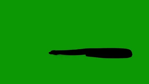 Snake Silhouette Die Scene Rendering Animation On Green Screen Stock Footage 311992094