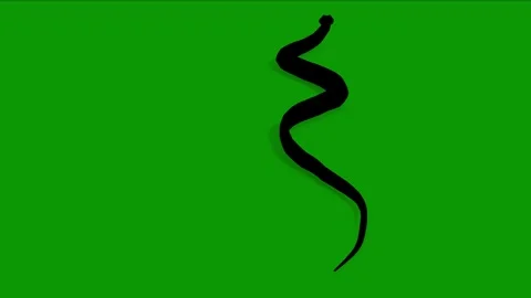 Snake Silhouette Run Fast Back Side Rendering Animation On Green Screen Stock Footage 311992109