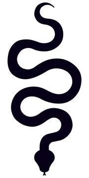 Snake silhouette. Vector illustration. イラスト素材