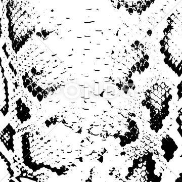 snake skin pattern design, vector illustration background image vector