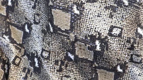Snake skin background. Close up. Stock Footage 108986881