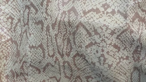 Snake skin background. Close up. Stock Footage 108986886