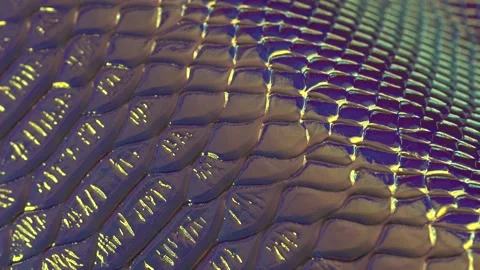 Snake skin background close up. Metallic Iridescent Holographic Leather Stock Footage 135311780