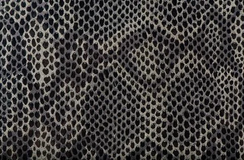 Snake skin background Closeup of snake Skin Leather Texture. Copyright: xZ... 写真素材