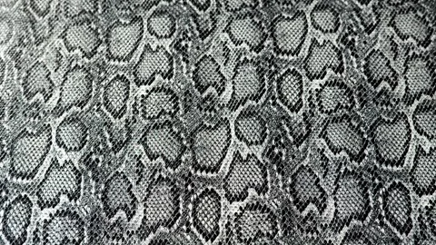 Snake skin background. Fabric Texture Background Stock Footage 320949797