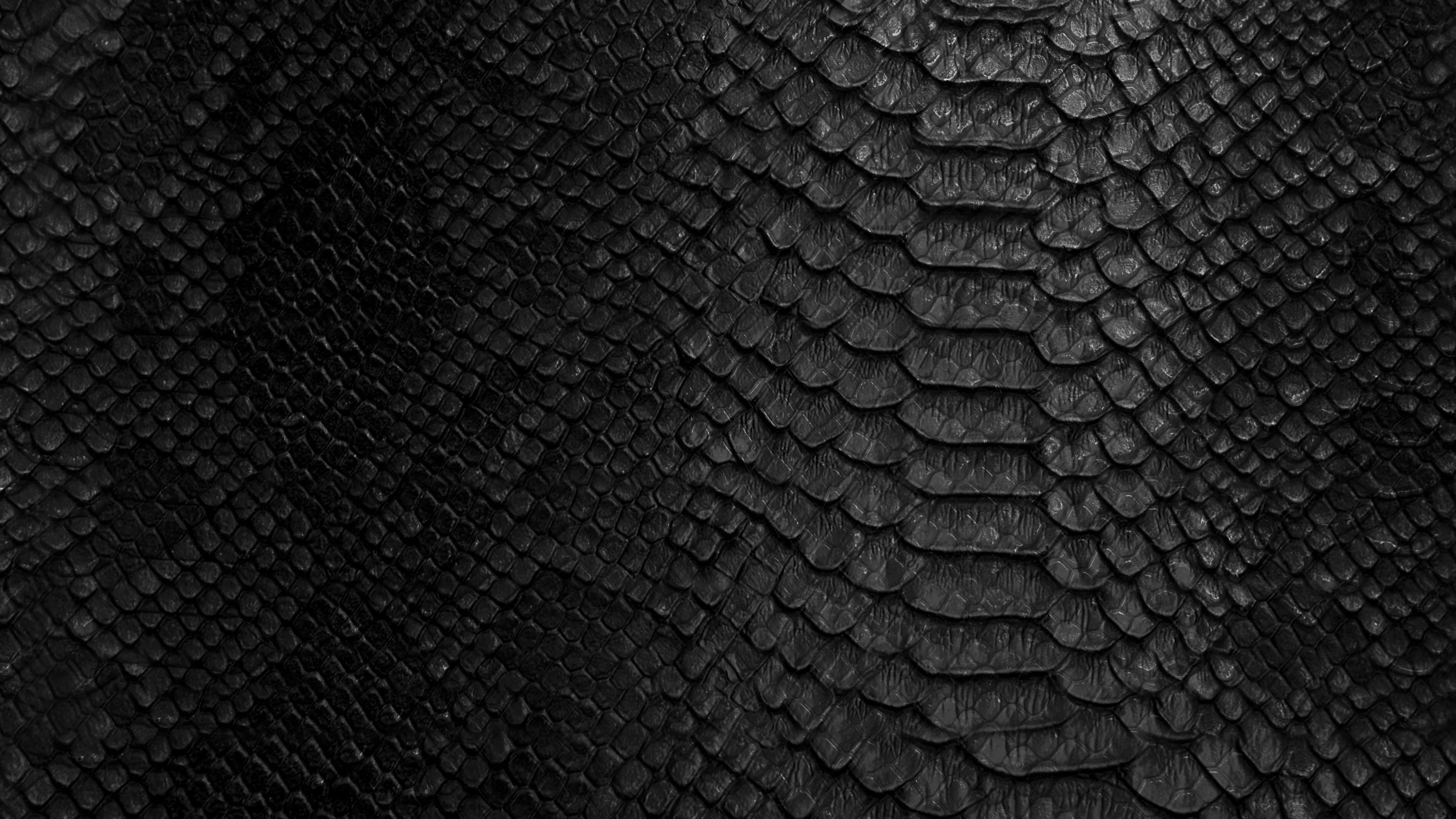 black snake skin pattern